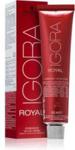 Schwarzkopf Professional IGORA Royal farba do włosów odcień 5-88 (Colorists´s Color Creme) 60ml