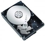 Seagate BarraCuda 1TB 3,5" (ST31000524AS)