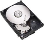 Seagate Barracuda 1TB 3,5" (ST31000528AS)