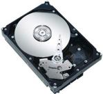 Seagate Barracuda 500GB (ST3500413AS)