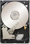 Seagate Constellation ES 1TB 3,5" (ST31000524NS)