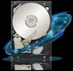 Seagate Constellation ES.3 3 TB (ST3000NM0023)