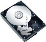 Seagate Dysk Barracuda, 3.5'', 250GB, SATA/600, 7200RPM, 16MB cache (ST250DM000)