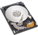 Seagate Momentus Thin (ST320LT012)