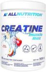 Sfd Allnutrition Creatine Apple 500G