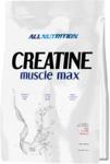 SFD Allnutrition Creatine Muscle Max natural 1000g