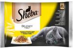 Sheba Delicacy in Jelly Mix Drobiowy żel 52x85g