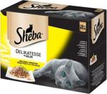 Sheba Delicato Wybór Drobiowy w galarecie 24x85g