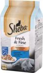 SHEBA FRESH & FINE RYBNE DANIE sos 6x50g