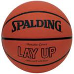 Spalding NBA Lay-Up [rozmiar : 7]