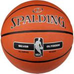 Spalding Nba Silver