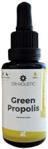 Suplement Dr Holistic Green Propolis 30 ml