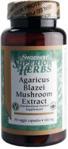 Swanson Agaricus Blazei Muschroom Extract 500mg 90 kaps.