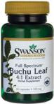 Swanson Buchu Leaf Bukko brzozowe 100mg 60 kaps.