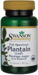 Swanson Full Spectrum Plantain leaf Plantago Major Babka Zwyczajna 400mg 60 kaps.