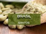 Swiezowypalona Kawa Zielona Arabica Brazylia Santos Premium 250g