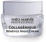 Theo Marvee Odmładzający Kolagenowy Krem Odżywczy Na Noc 50 Ml Collagenique Benefice