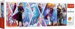 Trefl Puzzle 1000el. Disney Kraina Lodu 2 29048