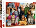 Trefl Puzzle 1000el. Kocie Spotkanie 10555