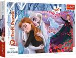 Trefl Puzzle 100el. Razem Na Zawsze Frozen 2 Kraina Lodu