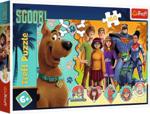 Trefl Puzzle 160el. Scooby Doo! Gdzie Jesteś? 16391