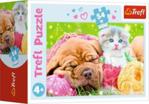 Trefl Puzzle 54el. Mini Urocze Pupile