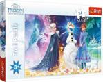 Trefl Puzzle Disney Kraina Lodu Puzzle 24el. Maxi W Świetle Gwiazd 14265