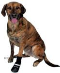 Trixie Walker Professional buty dla psa - Rozm. L (4 sztuki)