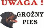 Uwaga Groźny Pies tabliczka ostrzegawcza 20x30