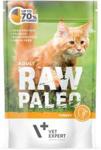 Vet Expert Raw Paleo Adult Cat Indyk 100g