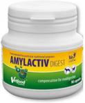 Vetfood Amylactiv Digest 90kaps.