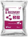 Vetfood Bb&Recovery Balance 100G