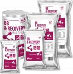 VetFood BB&Recovery Balance 500g