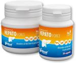 Vetfood Hepatoforce 90kaps