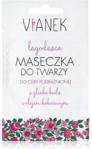 Vianek Łagodząca Maseczka do Twarzy 10g