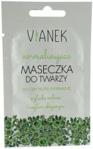 Vianek Normalizująca Maseczka do Twarzy 10g