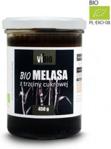 Vivio Melasa Z Cukru Trzcinowego Bio 450G