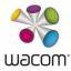 Wacom Intuos4 Grip Pen (Option) (KP-501E)