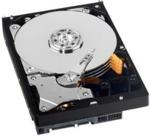 WD AV-GP 500GB 3,5" (WD5000AVDS)