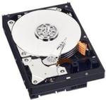 WD Blue 500GB 3,5" (WD5000AZLX)