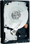 WD CAVIAR 250GB SATA2 64MB (WD2503ABYX)