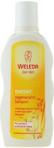 Weleda Hair Care regenerujący szampon owsiany do włosów suchych i zniszczonych 190ml