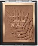 Wet N Wild Color Icon Bronzer What Shady Beaches