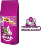 Whiskas Adult Sucha Karma Dla Kota Z Jagnięciną 14Kg