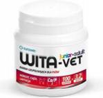 Wita-Vet Junior+Adult preparat witaminowy dla ciężarnych suk i szczeniąt 3,2g 100tabl.