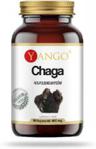 Yango Chaga ekstrakt 40% polisacharydów 90 kaps