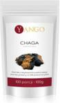 Yango Grzyb Chaga Ekstrakt Proszek 100 g