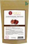 Yango Reishi Zarodniki 100g