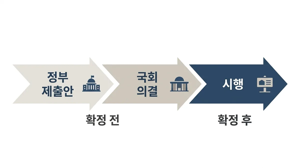 정책 결정 과정의 세 단계를 보여주는 흐름도. 정부발표 단계가 강조되어 있고, 국회심의와 최종확정 단계로 이어집니다.