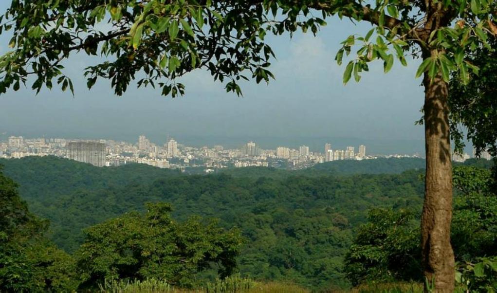 No Conservation Fee on Const outside Eco-Sensitive Zones in Mumbai